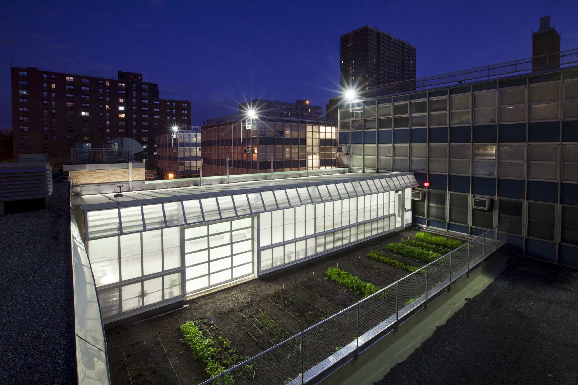 Edible Schoolyard NYC at P.S. 7 — WORKac